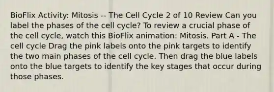 BioFlix Activity: Mitosis -- The Cell Cycle 2 of 10 Review Can you label the phases of the cell cycle? To review a crucial phase of the cell cycle, watch this BioFlix animation: Mitosis. Part A - The cell cycle Drag the pink labels onto the pink targets to identify the two main phases of the cell cycle. Then drag the blue labels onto the blue targets to identify the key stages that occur during those phases.