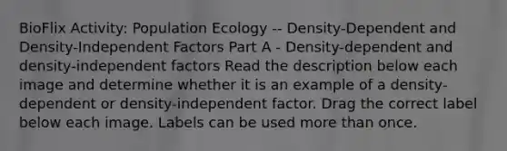 BioFlix Activity: Population Ecology -- Density-Dependent and Density-Independent Factors Part A - Density-dependent and density-independent factors Read the description below each image and determine whether it is an example of a density-dependent or density-independent factor. Drag the correct label below each image. Labels can be used more than once.