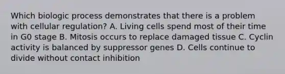 Which biologic process demonstrates that there is a problem with cellular regulation? A. Living cells spend most of their time in G0 stage B. Mitosis occurs to replace damaged tissue C. Cyclin activity is balanced by suppressor genes D. Cells continue to divide without contact inhibition