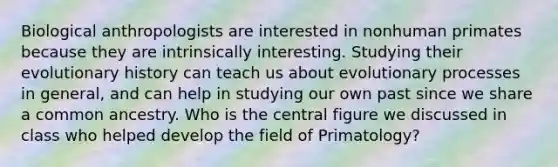 Biological anthropologists are interested in nonhuman primates because they are intrinsically interesting. Studying their evolutionary history can teach us about evolutionary processes in general, and can help in studying our own past since we share a common ancestry. Who is the central figure we discussed in class who helped develop the field of Primatology?