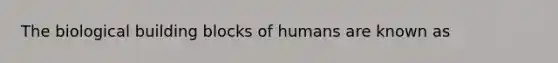 The biological building blocks of humans are known as