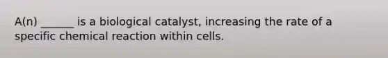 A(n) ______ is a biological catalyst, increasing the rate of a specific chemical reaction within cells.