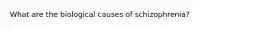 What are the biological causes of schizophrenia?