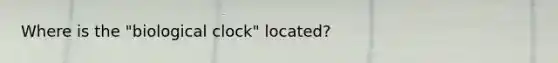 Where is the "biological clock" located?