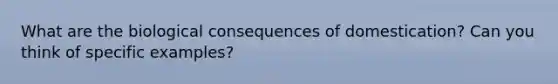 What are the biological consequences of domestication? Can you think of specific examples?