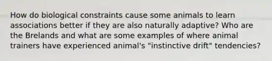 How do biological constraints cause some animals to learn associations better if they are also naturally adaptive? Who are the Brelands and what are some examples of where animal trainers have experienced animal's "instinctive drift" tendencies?