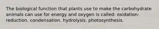 The biological function that plants use to make the carbohydrate animals can use for energy and oxygen is called: oxidation-reduction. condensation. hydrolysis. photosynthesis.