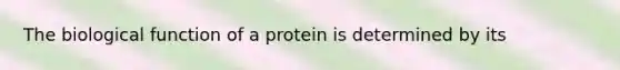 The biological function of a protein is determined by its