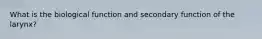 What is the biological function and secondary function of the larynx?