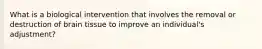 What is a biological intervention that involves the removal or destruction of brain tissue to improve an individual's adjustment?