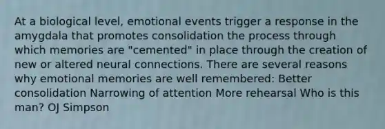 At a biological level, emotional events trigger a response in the amygdala that promotes consolidation the process through which memories are "cemented" in place through the creation of new or altered neural connections. There are several reasons why emotional memories are well remembered: Better consolidation Narrowing of attention More rehearsal Who is this man? OJ Simpson