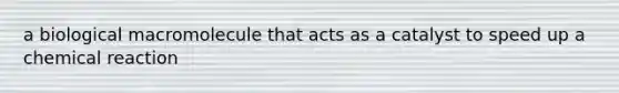 a biological macromolecule that acts as a catalyst to speed up a chemical reaction