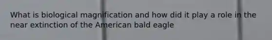 What is biological magnification and how did it play a role in the near extinction of the American bald eagle