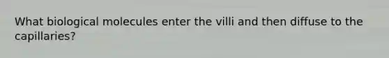 What biological molecules enter the villi and then diffuse to the capillaries?