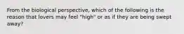 From the biological perspective, which of the following is the reason that lovers may feel "high" or as if they are being swept away?