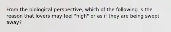 From the biological perspective, which of the following is the reason that lovers may feel "high" or as if they are being swept away?