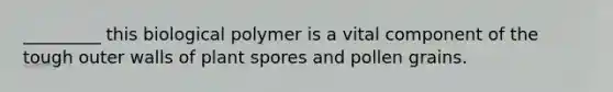 _________ this biological polymer is a vital component of the tough outer walls of plant spores and pollen grains.