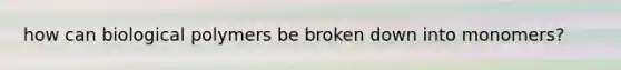 how can biological polymers be broken down into monomers?