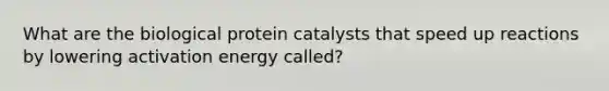 What are the biological protein catalysts that speed up reactions by lowering activation energy called?