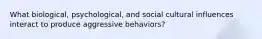 What biological, psychological, and social cultural influences interact to produce aggressive behaviors?