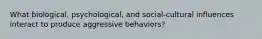 What biological, psychological, and social-cultural influences interact to produce aggressive behaviors?