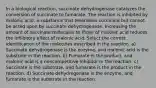 In a biological reaction, succinate dehydrogenase catalyzes the conversion of succinate to fumarate. The reaction is inhibited by malonic acid, a substance that resembles succinate but cannot be acted upon by succinate dehydrogenase. Increasing the amount of succinate molecules to those of malonic acid reduces the inhibitory effect of malonic acid. Select the correct identification of the molecules described in the reaction. a) Succinate dehydrogenase is the enzyme, and malonic acid is the substrate in the reaction. b) Fumarate is the product, and malonic acid is a noncompetitive inhibitor in the reaction. c) Succinate is the substrate, and fumarate is the product in the reaction. d) Succinate dehydrogenase is the enzyme, and fumarate is the substrate in the reaction.