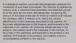 In a biological reaction, succinate dehydrogenase catalyzes the conversion of succinate to fumarate. The reaction is inhibited by malonic acid, a substance that resembles succinate but cannot be acted upon by succinate dehydrogenase. Increasing the amount of succinate molecules to those of malonic acid reduces the inhibitory effect if malonic acid. Select the correct identification of the molecules described in the reaction. A) Succinate dehydrogenase is the enzyme, and fumarate is the substrate in the reaction. B) Succinate dehydrogenase is the enzyme, and malonic acid is the substrate in the reaction. C) Succinate is the substrate, and fumarate is the product in the reaction. D) Fumarate is the product, and malonic acid is a noncompetitive inhibitor in the reaction.