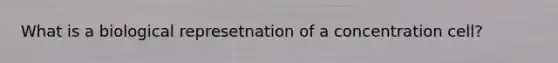 What is a biological represetnation of a concentration cell?