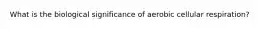 What is the biological significance of aerobic cellular respiration?