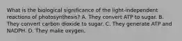 What is the biological significance of the light-independent reactions of photosynthesis? A. They convert ATP to sugar. B. They convert carbon dioxide to sugar. C. They generate ATP and NADPH. D. They make oxygen.