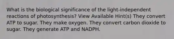 What is the biological significance of the light-independent reactions of photosynthesis? View Available Hint(s) They convert ATP to sugar. They make oxygen. They convert carbon dioxide to sugar. They generate ATP and NADPH.