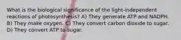 What is the biological significance of the light-independent reactions of photosynthesis? A) They generate ATP and NADPH. B) They make oxygen. C) They convert carbon dioxide to sugar. D) They convert ATP to sugar.