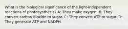 What is the biological significance of the light-independent reactions of photosynthesis? A: They make oxygen. B: They convert carbon dioxide to sugar. C: They convert ATP to sugar. D: They generate ATP and NADPH.