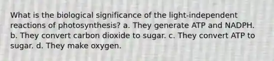 What is the biological significance of the light-independent reactions of photosynthesis? a. They generate ATP and NADPH. b. They convert carbon dioxide to sugar. c. They convert ATP to sugar. d. They make oxygen.