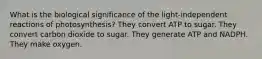 What is the biological significance of the light-independent reactions of photosynthesis? They convert ATP to sugar. They convert carbon dioxide to sugar. They generate ATP and NADPH. They make oxygen.