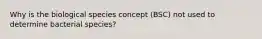 Why is the biological species concept (BSC) not used to determine bacterial species?