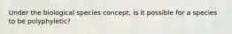Under the biological species concept, is it possible for a species to be polyphyletic?
