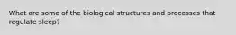 What are some of the biological structures and processes that regulate sleep?