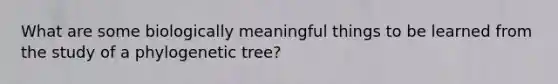 What are some biologically meaningful things to be learned from the study of a phylogenetic tree?