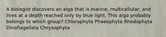 A biologist discovers an alga that is marine, multicellular, and lives at a depth reached only by blue light. This alga probably belongs to which group? Chlorophyta Phaeophyta Rhodophyta Dinoflagellata Chrysophyta