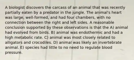 A biologist discovers the carcass of an animal that was recently partially eaten by a predator in the jungle. The animal's heart was large, well-formed, and had four chambers, with no connection between the right and left sides. A reasonable conclusion supported by these observations is that the A) animal had evolved from birds. B) animal was endothermic and had a high metabolic rate. C) animal was most closely related to alligators and crocodiles. D) animal was likely an invertebrate animal. E) species had little to no need to regulate <a href='https://www.questionai.com/knowledge/kD0HacyPBr-blood-pressure' class='anchor-knowledge'>blood pressure</a>.