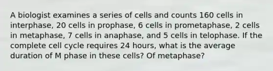 A biologist examines a series of cells and counts 160 cells in interphase, 20 cells in prophase, 6 cells in prometaphase, 2 cells in metaphase, 7 cells in anaphase, and 5 cells in telophase. If the complete <a href='https://www.questionai.com/knowledge/keQNMM7c75-cell-cycle' class='anchor-knowledge'>cell cycle</a> requires 24 hours, what is the average duration of M phase in these cells? Of metaphase?