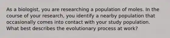 As a biologist, you are researching a population of moles. In the course of your research, you identify a nearby population that occasionally comes into contact with your study population. What best describes the evolutionary process at work?