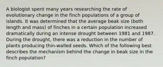 A biologist spent many years researching the rate of evolutionary change in the finch populations of a group of islands. It was determined that the average beak size (both length and mass) of finches in a certain population increased dramatically during an intense drought between 1981 and 1987. During the drought, there was a reduction in the number of plants producing thin-walled seeds. Which of the following best describes the mechanism behind the change in beak size in the finch population?