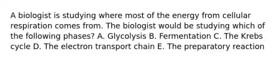 A biologist is studying where most of the energy from cellular respiration comes from. The biologist would be studying which of the following phases? A. Glycolysis B. Fermentation C. The <a href='https://www.questionai.com/knowledge/kqfW58SNl2-krebs-cycle' class='anchor-knowledge'>krebs cycle</a> D. <a href='https://www.questionai.com/knowledge/k57oGBr0HP-the-electron-transport-chain' class='anchor-knowledge'>the electron transport chain</a> E. The preparatory reaction