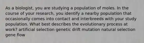 As a biologist, you are studying a population of moles. In the course of your research, you identify a nearby population that occasionally comes into contact and interbreeds with your study population. What best describes the evolutionary process at work? artificial selection genetic drift mutation natural selection gene flow