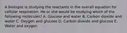 A biologist is studying the reactants in the overall equation for cellular respiration. He or she would be studying which of the following molecules? A. Glucose and water B. Carbon dioxide and water C. Oxygen and glucose D. Carbon dioxide and glucose E. Water and oxygen