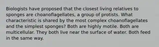 Biologists have proposed that the closest living relatives to sponges are choanoflagellates, a group of protists. What characteristic is shared by the most complex choanoflagellates and the simplest sponges? Both are highly motile. Both are multicellular. They both live near the surface of water. Both feed in the same way.