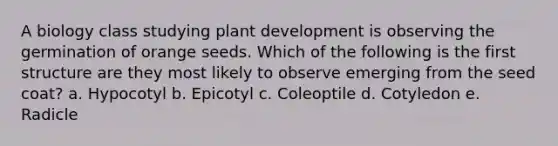 A biology class studying plant development is observing the germination of orange seeds. Which of the following is the first structure are they most likely to observe emerging from the seed coat? a. Hypocotyl b. Epicotyl c. Coleoptile d. Cotyledon e. Radicle