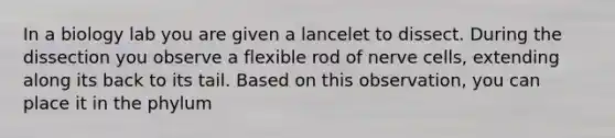 In a biology lab you are given a lancelet to dissect. During the dissection you observe a flexible rod of nerve cells, extending along its back to its tail. Based on this observation, you can place it in the phylum